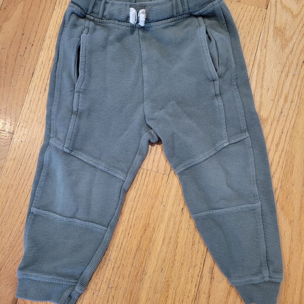 Zara pants